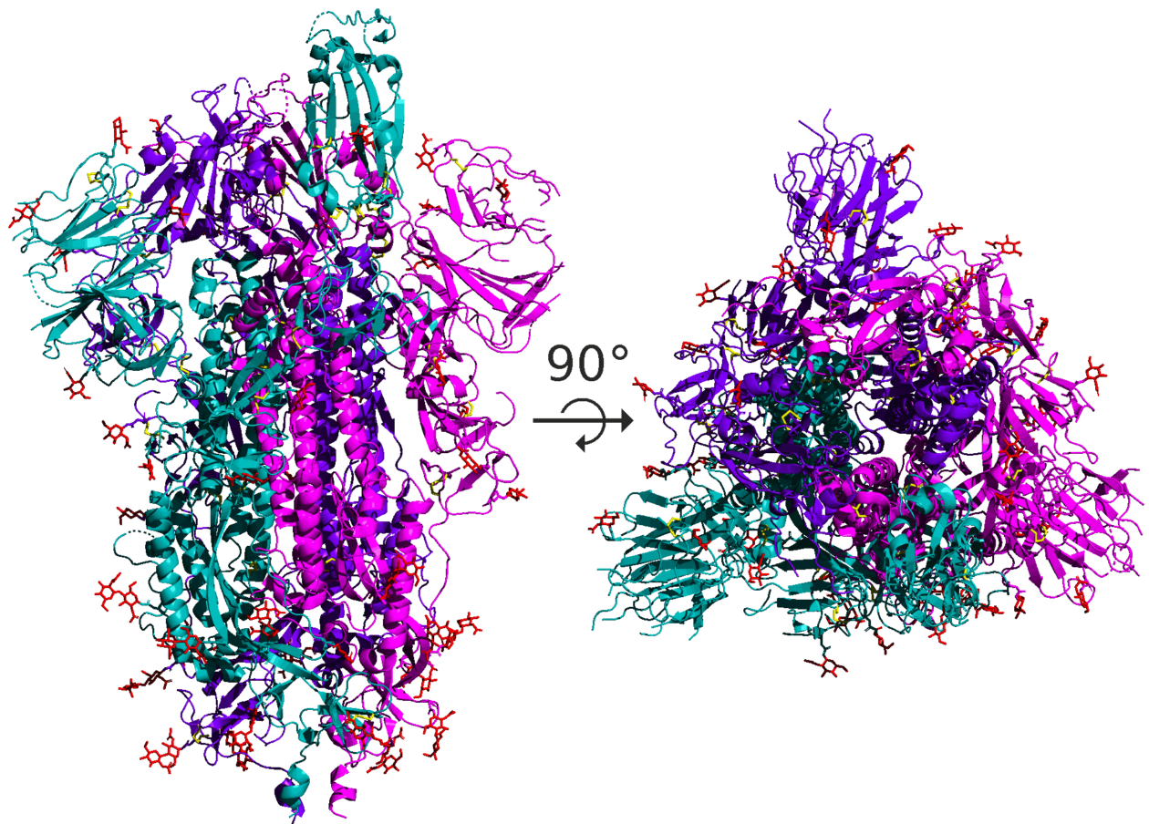 Which Is More Dangerous: Mainstream Media or The Spike Protein?