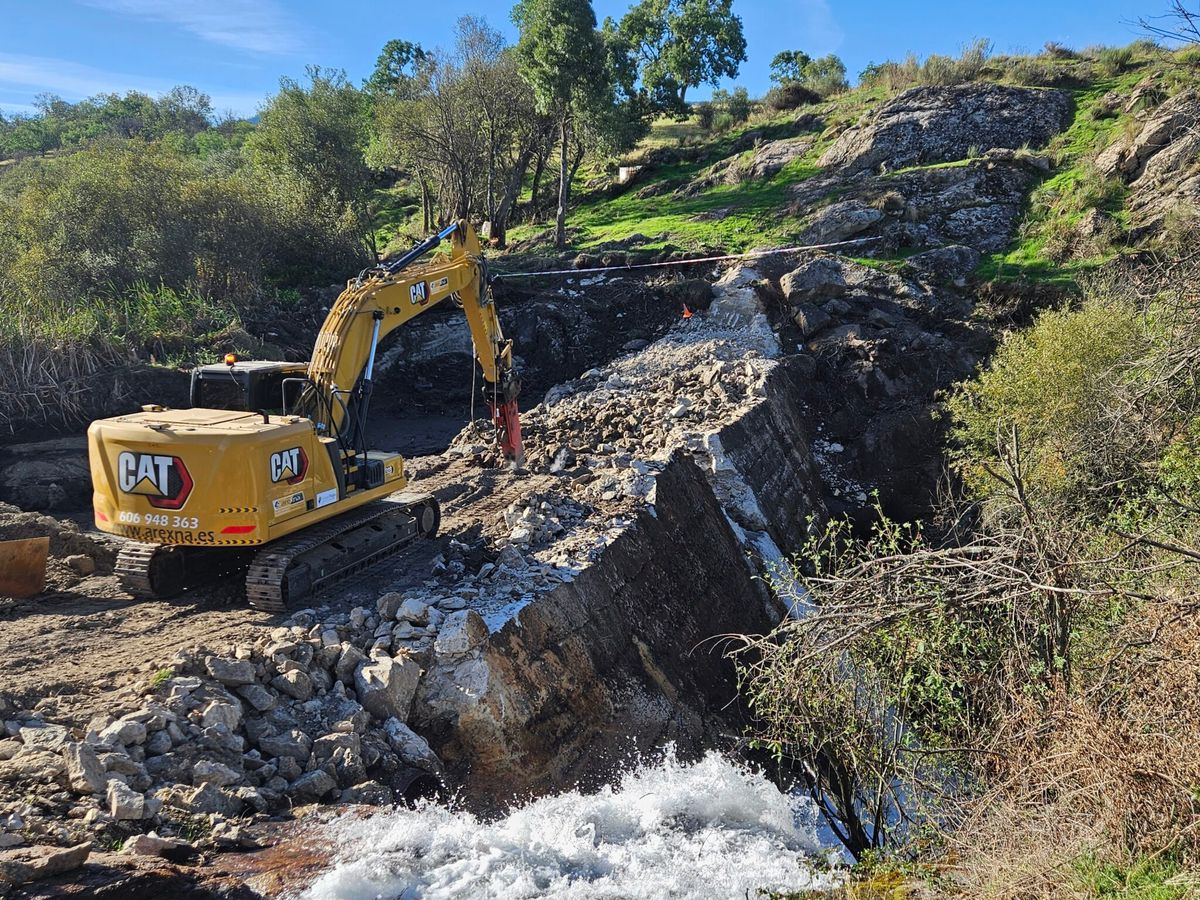 Dam removal projects championed by WWF the cause of the devastation from floods in Valencia