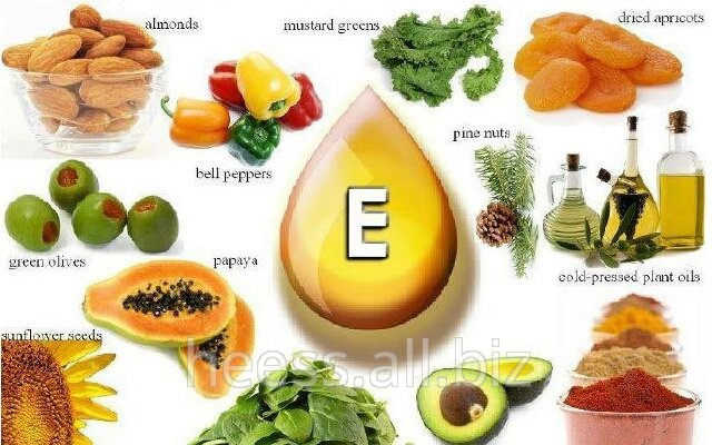 Vitamin E needed for proper nervous system development