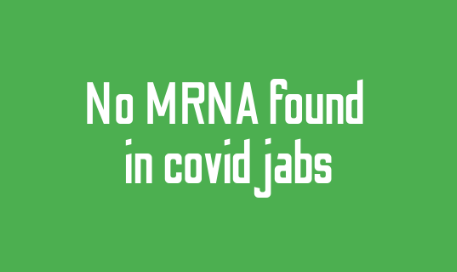 Independent researchers find no mRNA in COVID jabs